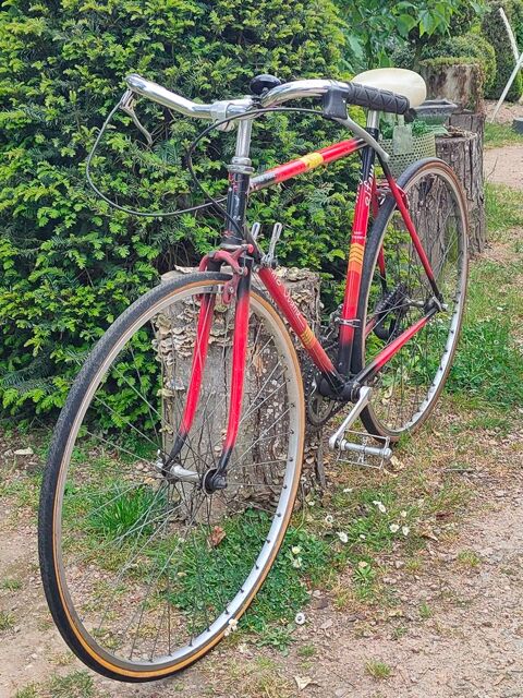 V�lo homme 55 Avermes (03)