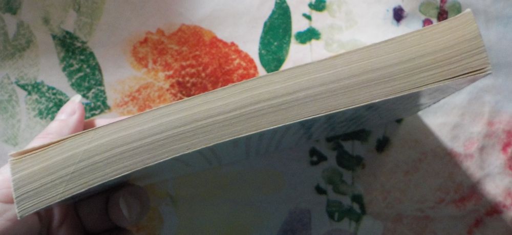 UN SI GRAND AMOUR de Danielle STEEL Ed. Pocket Livres et BD
