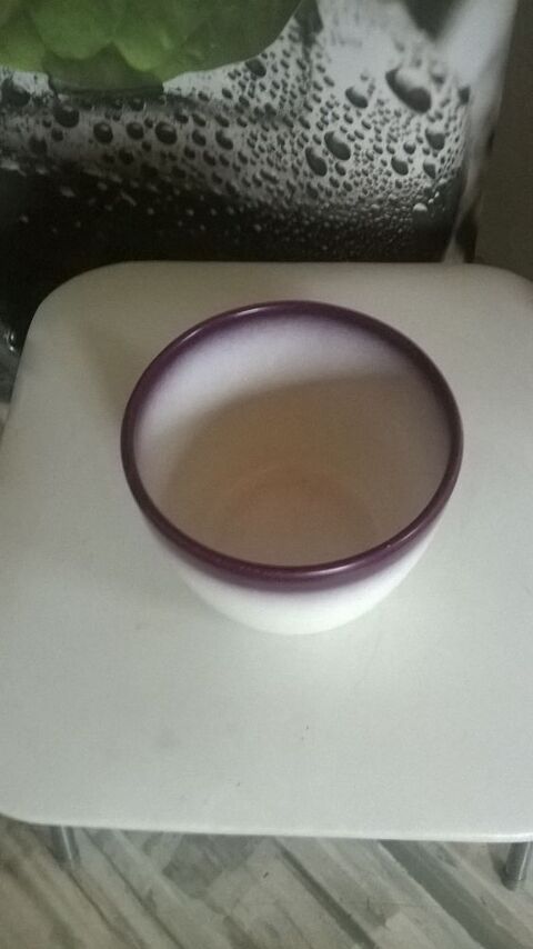 pot � plantes violet 4 Talange (57)