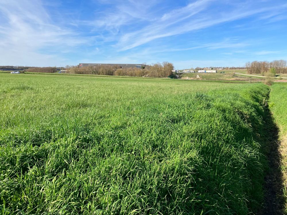 Vente Terrain Terrains constructibles Roullet-saint-estèphe