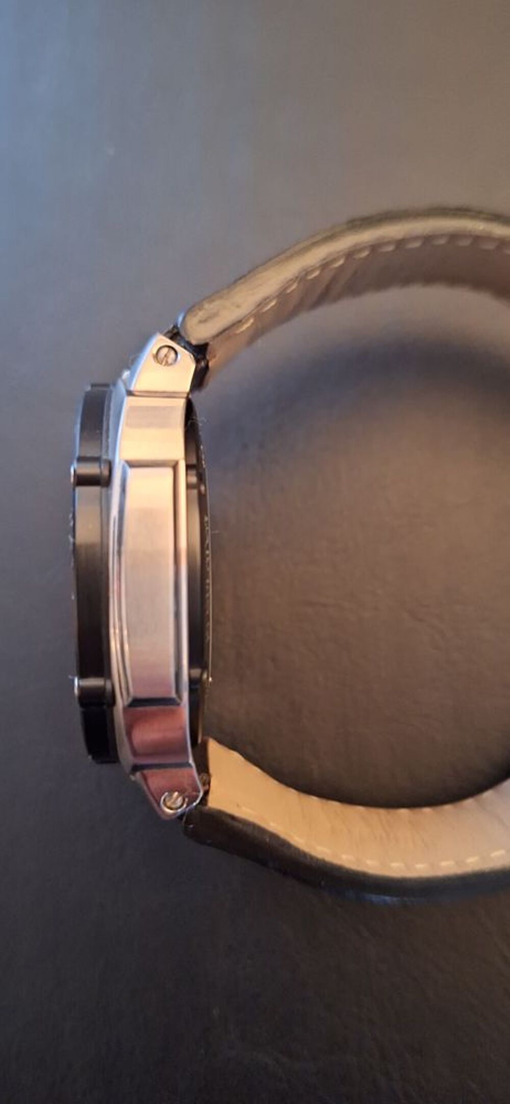 Montre Alpina Extreme Regulator Bijoux et montres