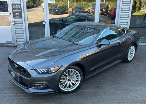 Ford Mustang Fastback 2.3 EcoBoost 317 2017 occasion Auchy-lez-Orchies 59310