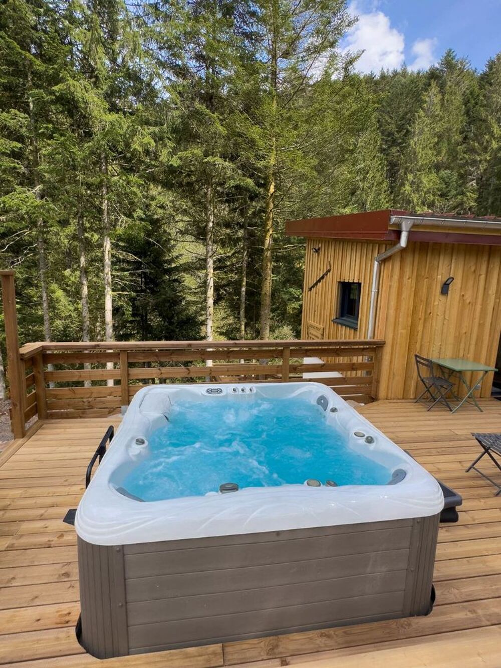   Gte insolite refuge perch SPA Terrain cltur  5000 m2  Lorraine, Grardmer (88400)