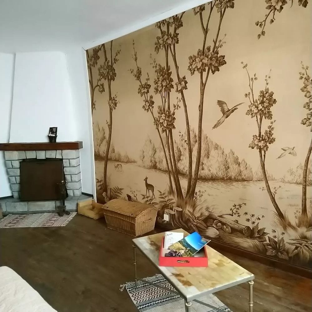 Vente Immeuble Immeuble 270 m² - Local + 2 appartements + grenier - Centre Lacaune