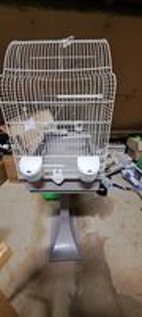   Cage pour Oiseaux 