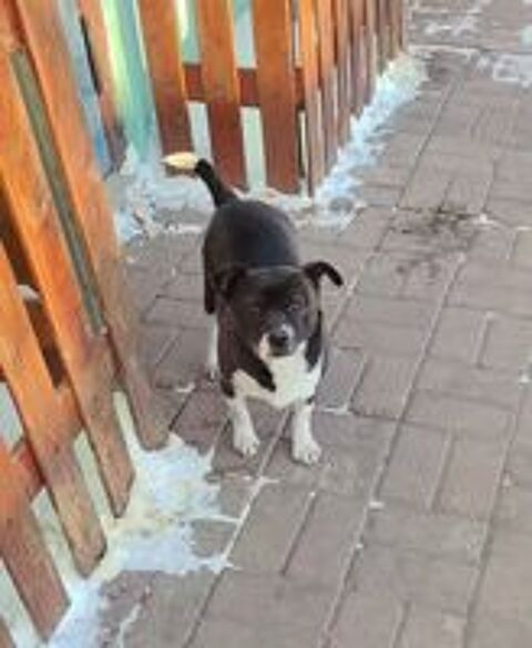  MILLIE SE TROUVE DANS UN REFUGE EN CHINE 