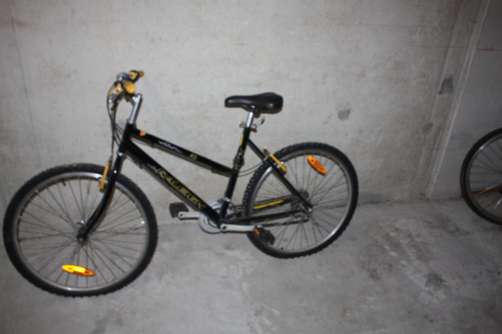 VTT FEMME RALEIGHT Vélos