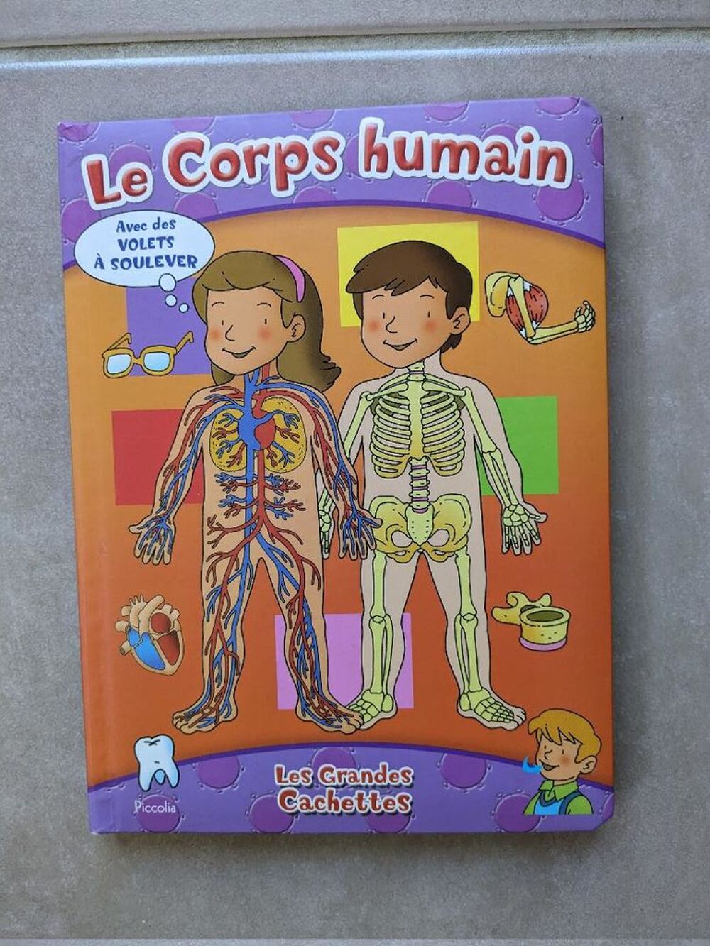 Livre pour enfants le corps humain - Les grandes cachettes Livres et BD