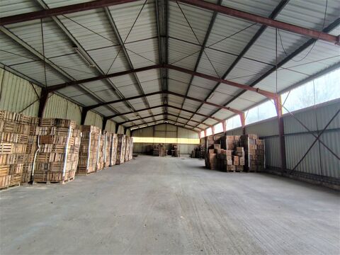 ENTREPOT  850 m² A VENDRE  - Noaillan 430500 33730 Noaillan