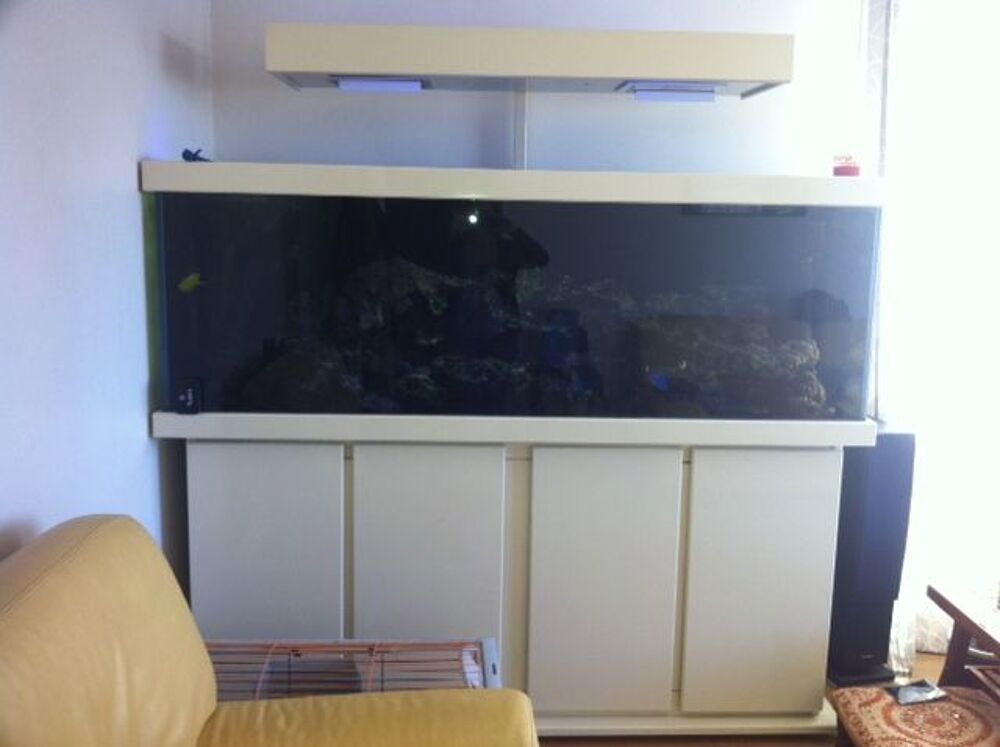 aquarium 600 L avec meuble fait sur mesure Meubles