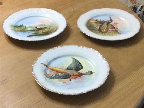 Assiettes dcoratives en porcelaine motif oiseaux 150 Toulouse (31)