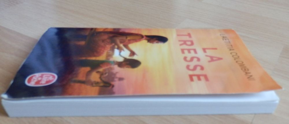 Livre : La tresse : NEUF Livres et BD