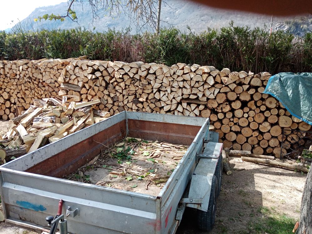 bois de chauffage deux ans et demi de sec. Jardin