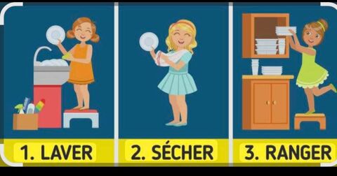 Dame de ménage et de compagnie 0 06130 Grasse