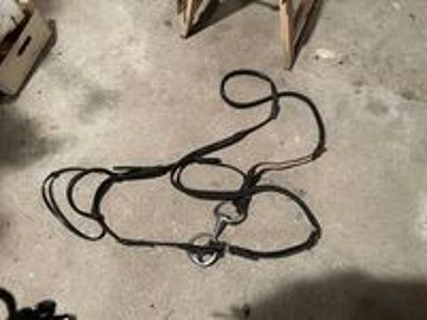   Lot de 2 filets  d'équitation  