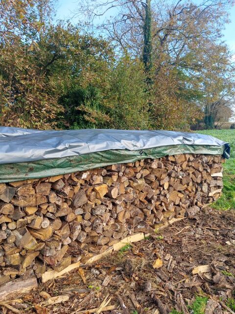 bois de chauffage sec 250 Pluguffan (29)