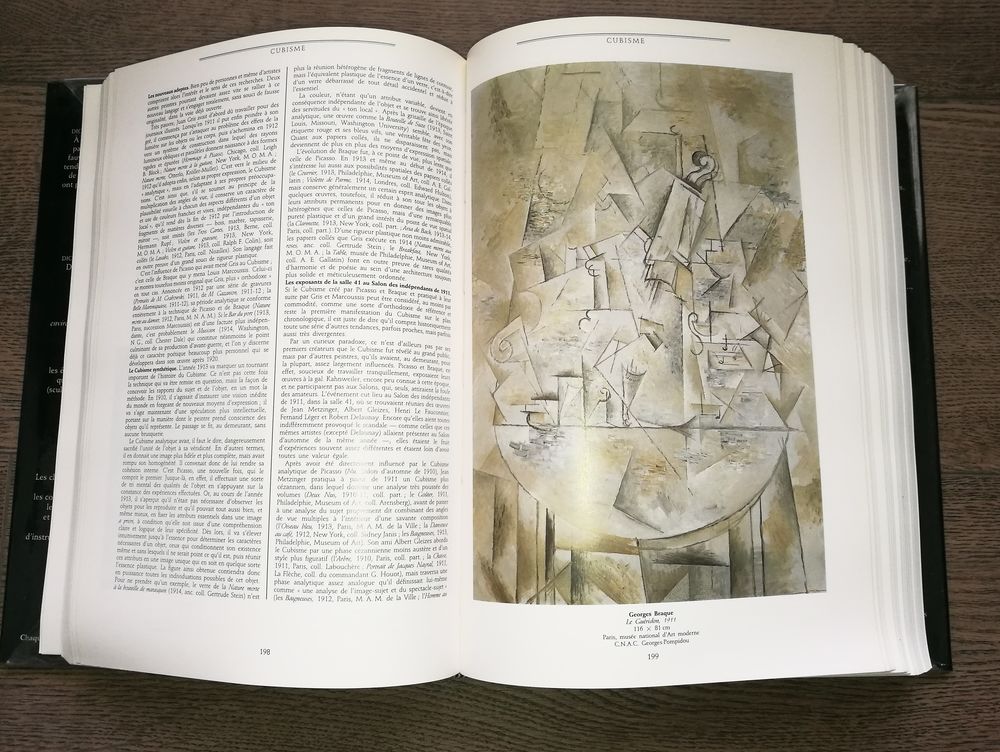le dictionnaire de la peinture Larousse 