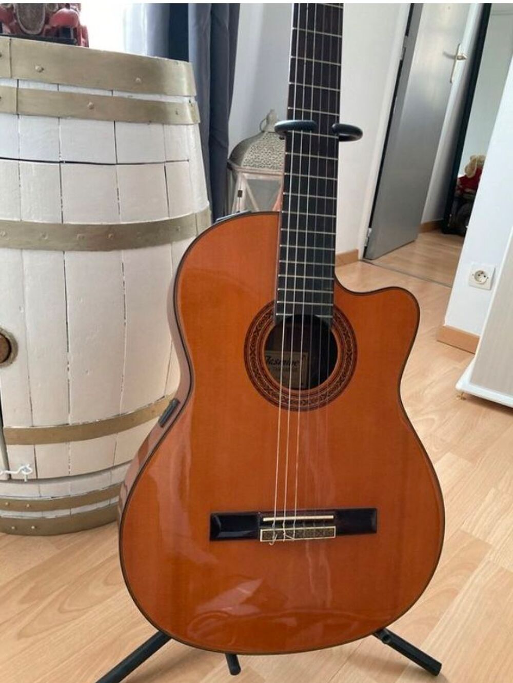 Guitare Jasmine Takamine Instruments de musique