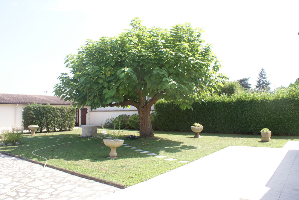 Location Villa SAISONNIRE VILLA PISCINE 
33220 PINEUILH. Pineuilh