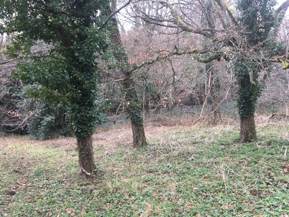 Location Terrain Terrain 5000 m² Castres