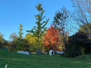  Maison � vendre 7 pi�ces 150 m�