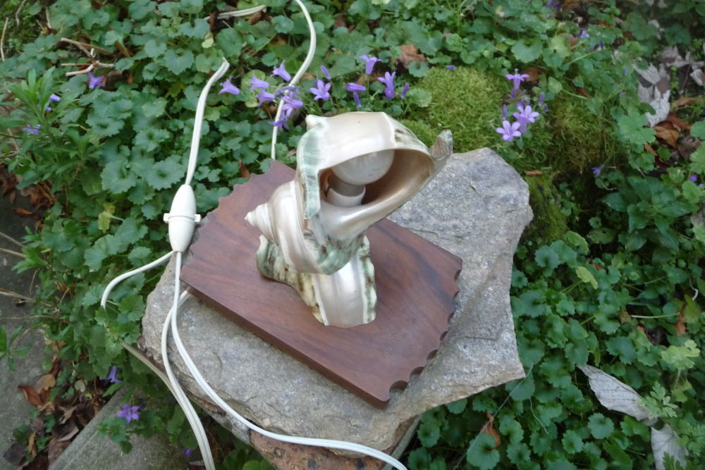 lampe coquillage D�coration