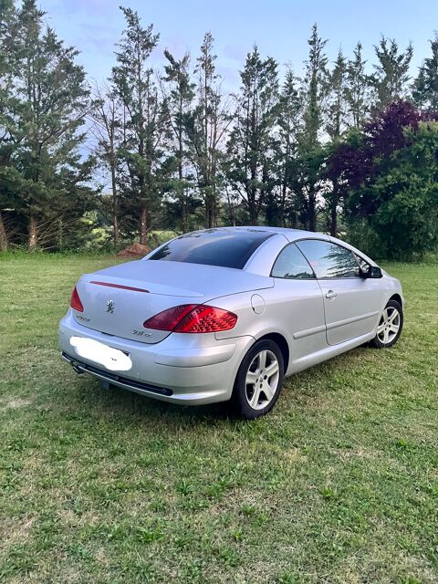 Peugeot 307 cc 2.0 16V - 138