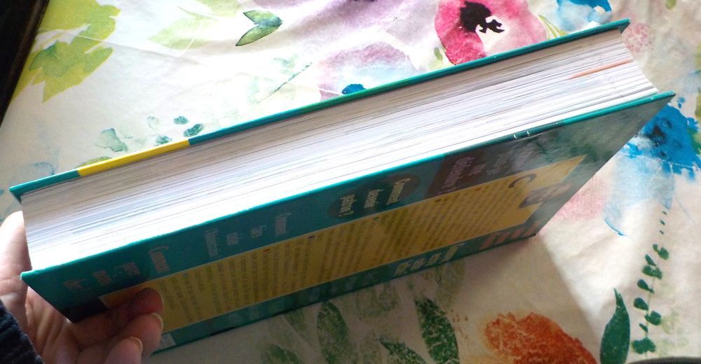 LE GRAND LIVRE DE REPONSE A TOUT de 1997 Livres et BD