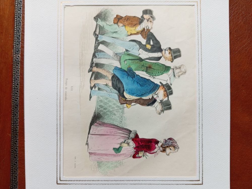 65 GRAVURES DE GRANVILLE LES METAMORPHOSES DU JOUR 
