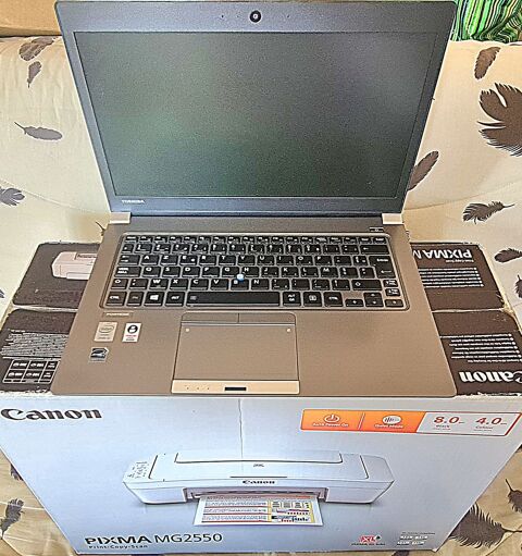 PC imprimante 99 Villeurbanne (69)