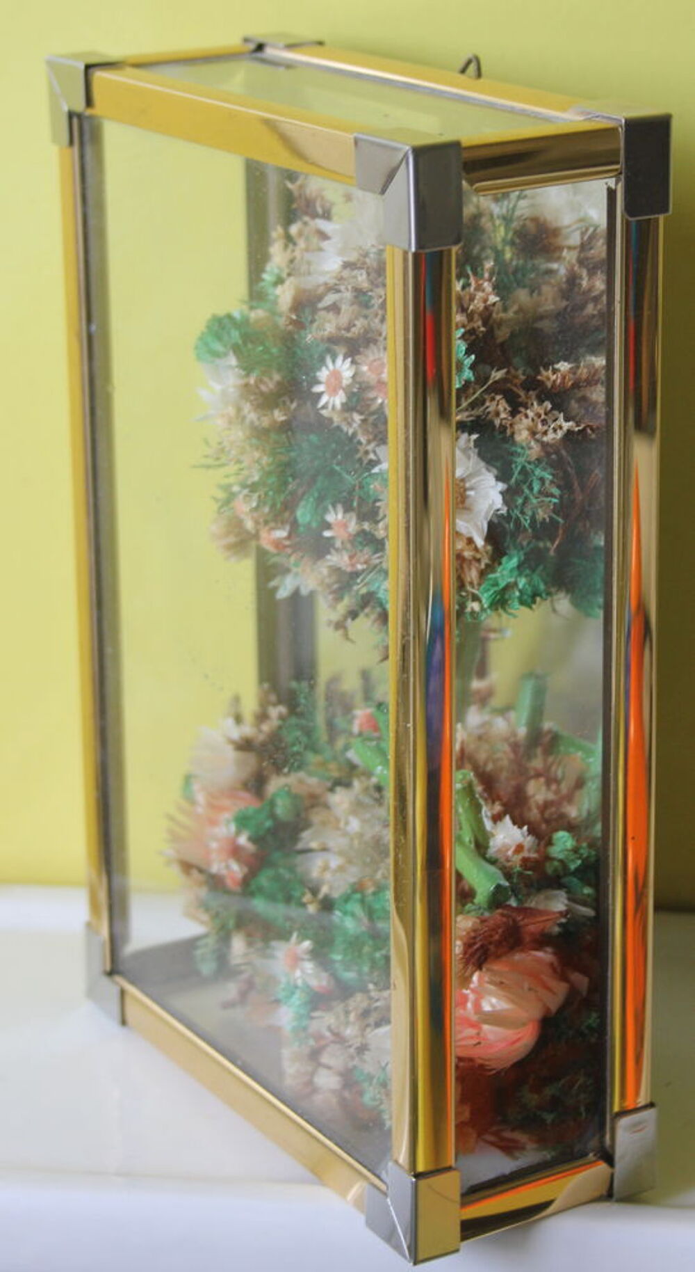 Mini vitrine &agrave; customiser cabinet de curiosit&eacute;s Décoration