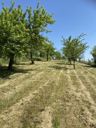  Terrain à vendre 1560 m²