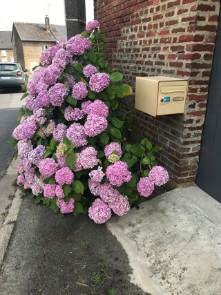  Maison à louer 4 pièces 107 m²