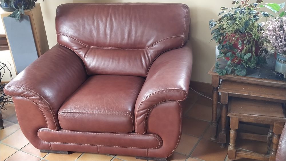 Salon en cuir de buffle : canap&eacute; fauteuils et pouf Meubles