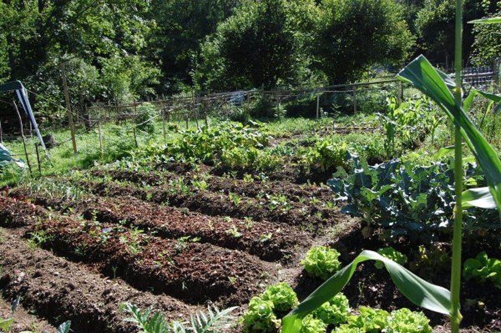 Location Terrain Jardin d'exception dans une ancienne prairie d'Alpage Saint-martin-d'uriage