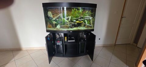 Aquarium Juwel 300L complet. 250 70110 Autrey-lès-cerre