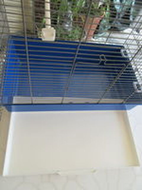  cage à oiseaux 