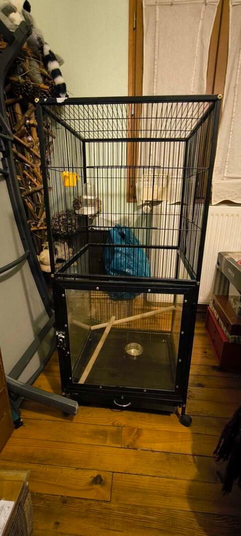 Cage+Oiseaux 60 Saint-Quentin-sur-Is�re (38)