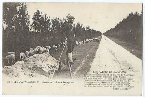 Au pays landais echassier et son troupeau 4 Castel-Sarrazin (40)