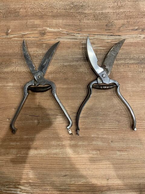 2 S�cateurs d�coupe volailles 12 Saleilles (66)