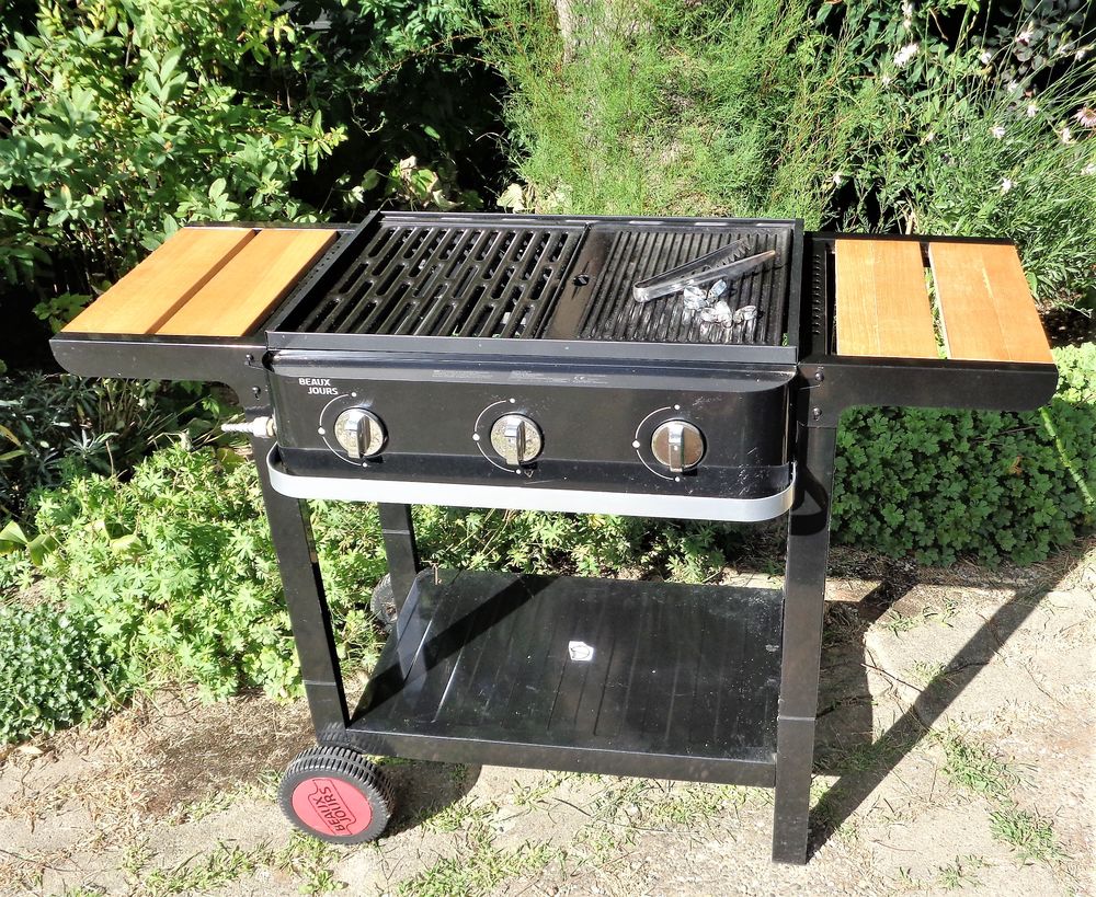 Barbecue et Plancha &agrave; gaz Jardin