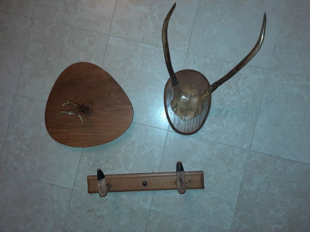 lot 4 troph&eacute;es de chasse Décoration