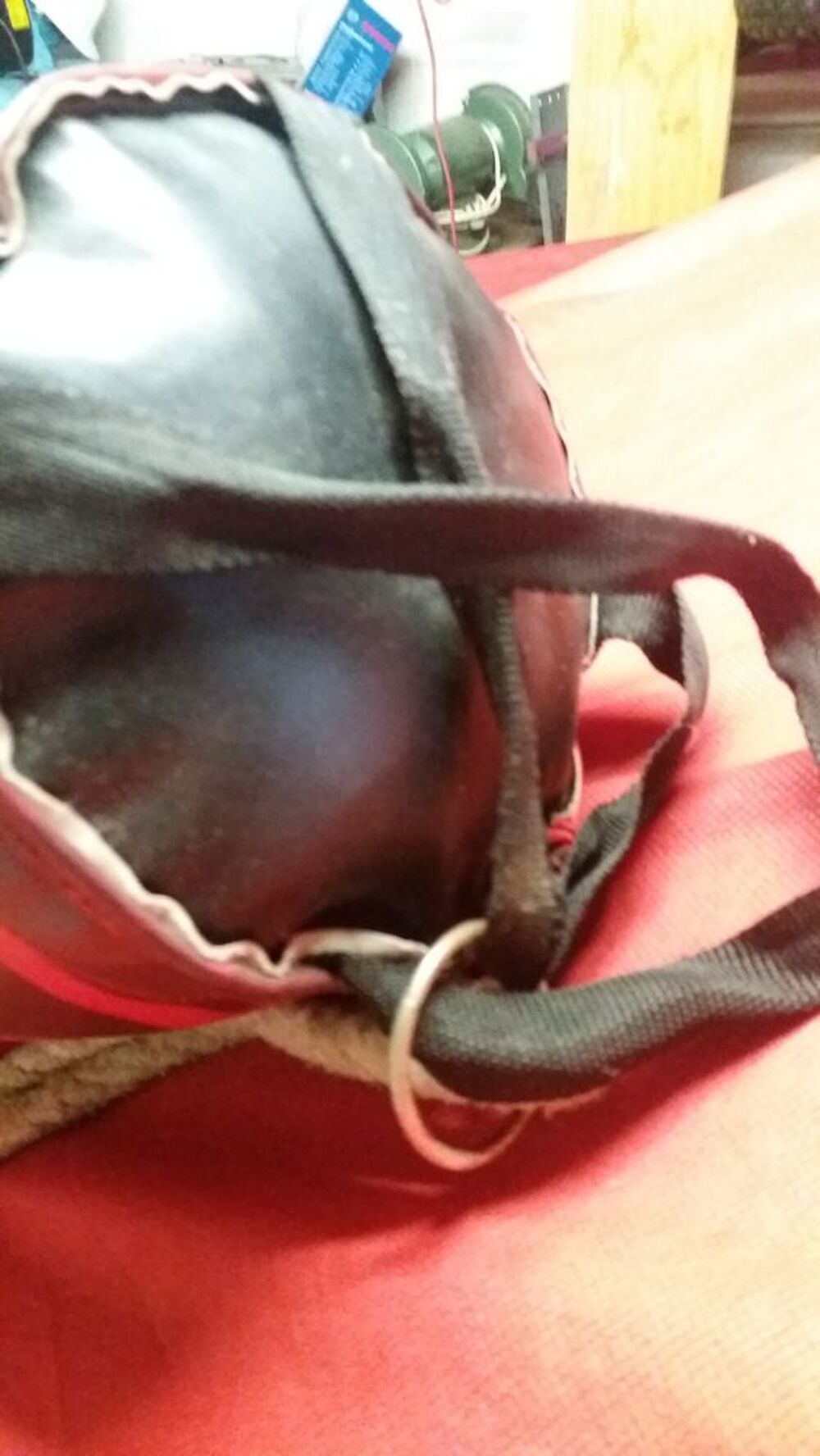 putch in ball spiderman Jeux / jouets