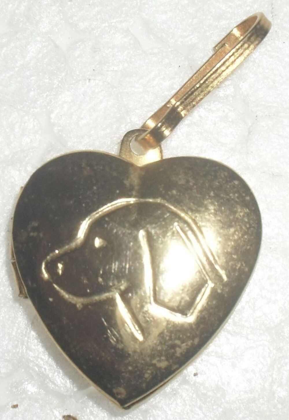   M�daille dor�e Identit� pour chien. 