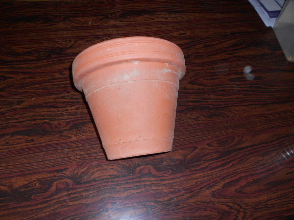 UN POT EN TERRE CUITE Jardin
