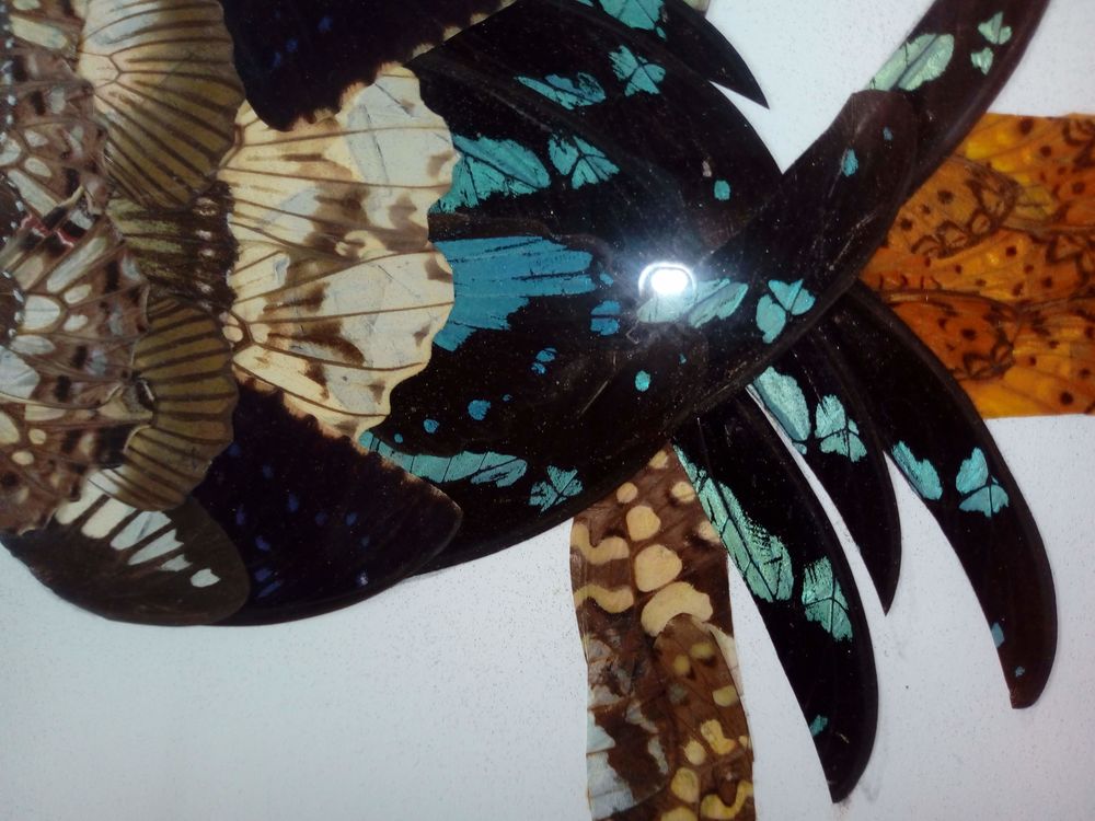  Composition perroquet, avec ailes de papillons Décoration