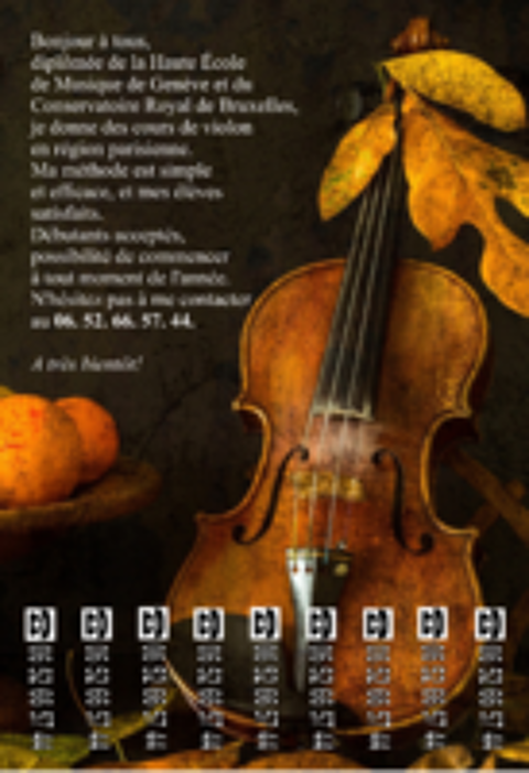   Cours particuliers de violon  Paris Cesu accept  