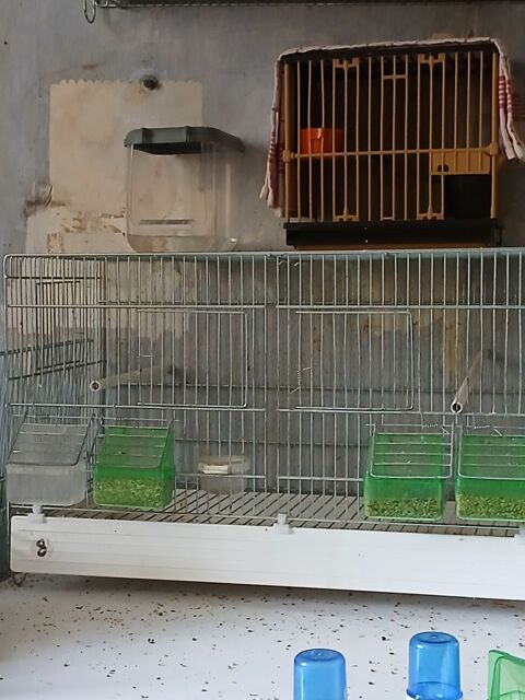 Cage cova pour oiseaux avec accessoires  30 95100 Argenteuil