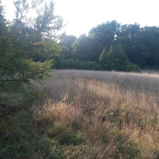  Terrain à vendre 8962 m²