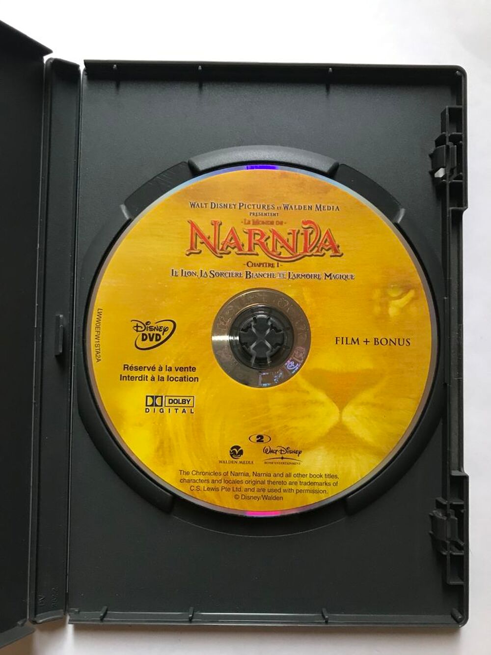 DVD Narnia chapitre 1: le lion, la sorci&egrave;re blanche et l?armoire magique DVD et blu-ray